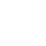 Wordpress logo